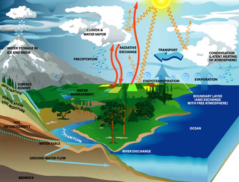 water cycle. stages of the water cycle.